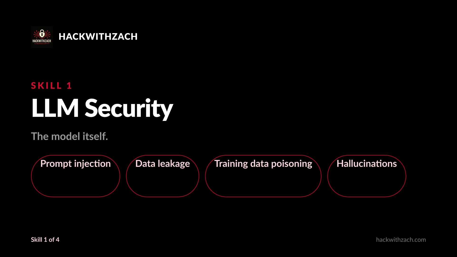 Pillar 1: LLM Security. Prompt injection, data leakage, training data poisoning, hallucinations.